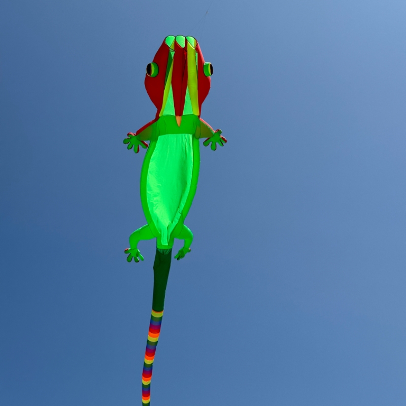 Layang-layang Raksasa Gecko 14 - Outdoor Sport An ulasan dan harga